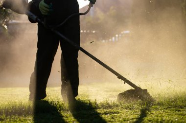 Çim biçme makinesiyle çimleri biçmek. Bahçe işleri konsepti.