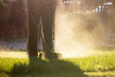 Çim biçme makinesiyle çimleri biçmek. Bahçe işleri konsepti.