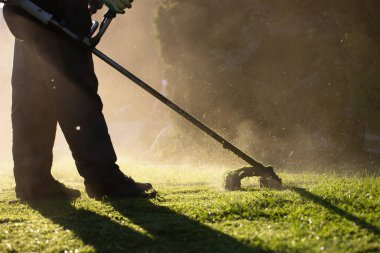 Çim biçme makinesiyle çimleri biçmek. Bahçe işleri konsepti.