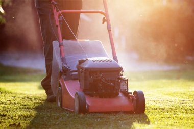 Çim biçme makinesiyle çimleri biçmek. Bahçe işleri konsepti.