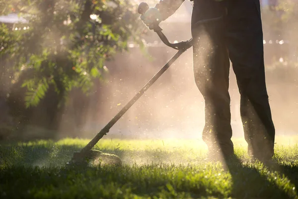 Cortando Hierba Con Una Cortadora Césped Jardín Trabajo Concepto Fondo —  Fotos de Stock