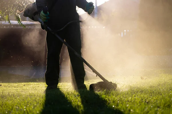 Çim biçme makinesiyle çimleri biçmek. Bahçe işleri konsepti.