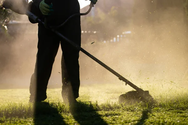 Çim biçme makinesiyle çimleri biçmek. Bahçe işleri konsepti.