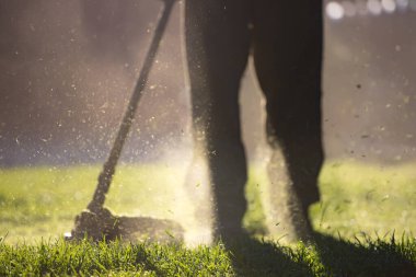 Çim biçme makinesiyle çimleri biçmek. Bahçe işleri konsepti.