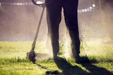 Çim biçme makinesiyle çimleri biçmek. Bahçe işleri konsepti.