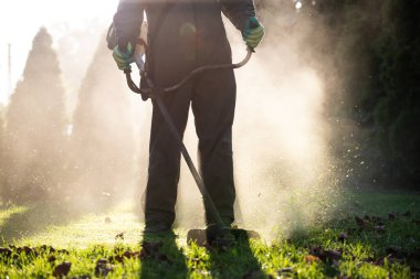 Çim biçme makinesiyle çimleri biçmek. Bahçe işleri konsepti.