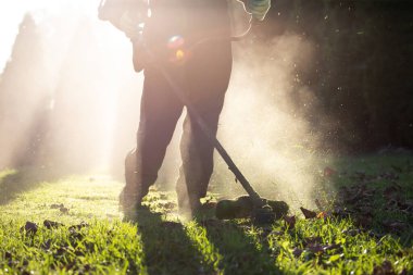 Çim biçme makinesiyle çimleri biçmek. Bahçe işleri konsepti.
