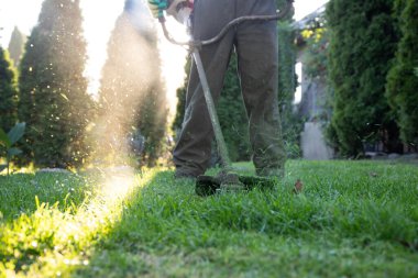 Çim biçme makinesiyle çimleri biçmek. Bahçe işleri konsepti.
