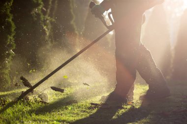 Çim biçme makinesiyle çimleri biçmek. Bahçe işleri konsepti.