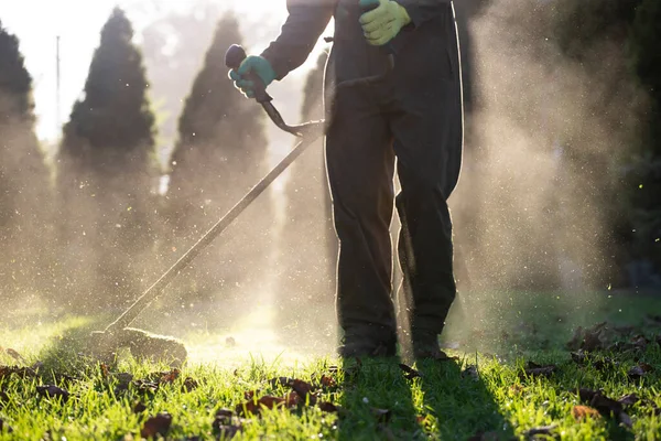 Çim biçme makinesiyle çimleri biçmek. Bahçe işleri konsepti.