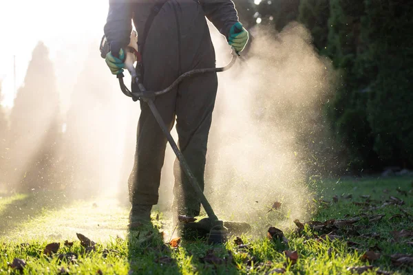 Mowing the grass with a lawn mower. Garden work concept background.