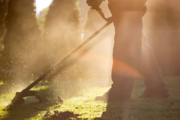 Çim biçme makinesiyle çimleri biçmek. Bahçe işleri konsepti.