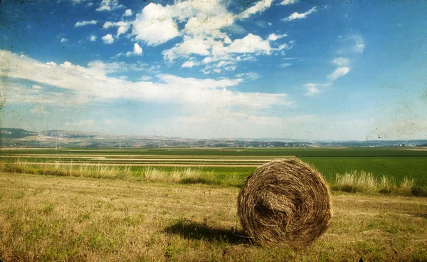 Hay-roll on field after harvest — Stock Photo, Image