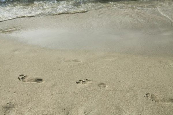 Footsteps in the sand — Stock Photo, Image