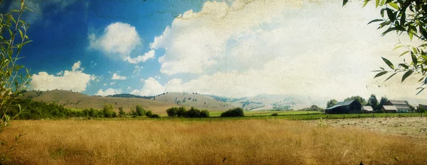 Campo e céu azul — Fotografia de Stock