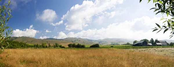 Ländliche Sommerpanorama-Landschaft — Stockfoto