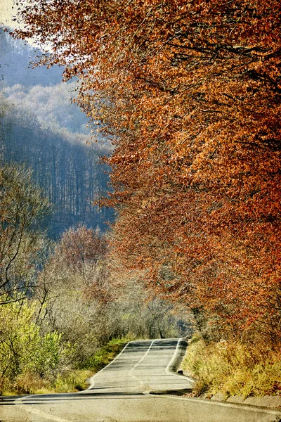 Gebogen weg in herfst bos — Stockfoto