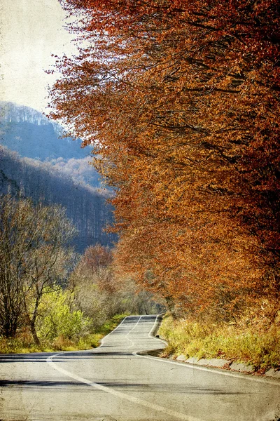 Кривая дорога в осеннем лесу — стоковое фото