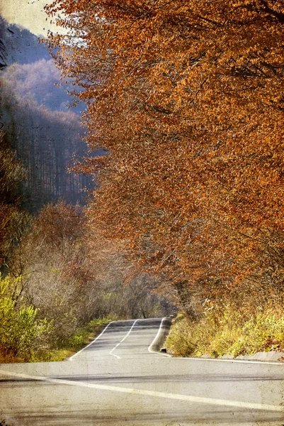 秋の森のカーブした道 — ストック写真