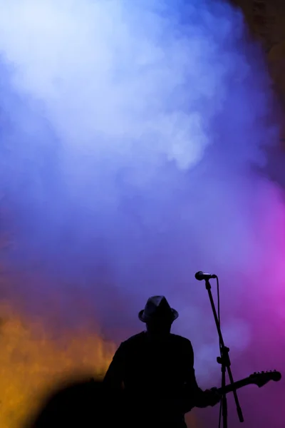 Guitarist on stage — Stock Photo, Image