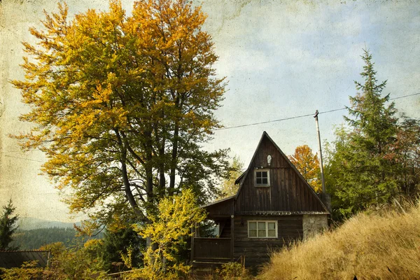 Malý domek v podzimním lese — Stock fotografie