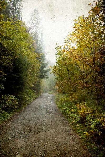 Zandweg in herfstbos — Stockfoto