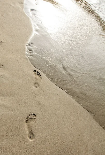 Footsteps in the sand — Stock Photo, Image