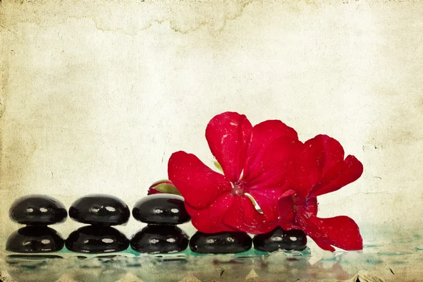 Pedras de spa e flor vermelha — Fotografia de Stock