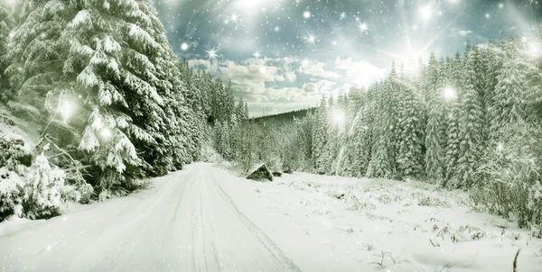 Paisaje invernal - árboles cubiertos de nieve y cielo con estrellas — Foto de Stock