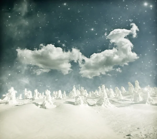 Paisaje invernal - árboles cubiertos de nieve y cielo con estrellas — Foto de Stock