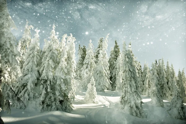 雪で覆われた丘のある冬景色 — ストック写真