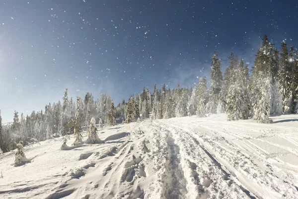 Snowy path on the hill — Stock Photo, Image