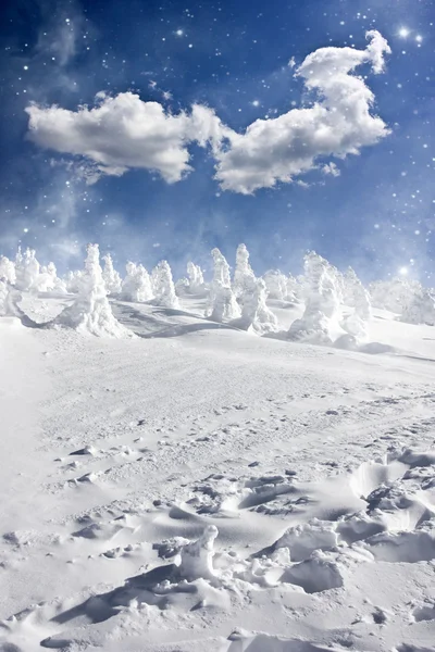 Sfondo natalizio con abeti innevati — Foto Stock