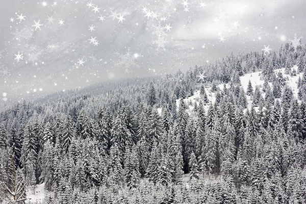 Fondo de Navidad con abetos nevados — Foto de Stock