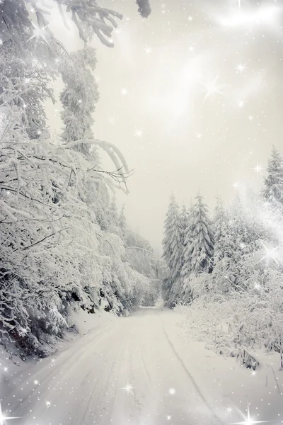 Jul bakgrund med snöig väg i skogen — Stockfoto