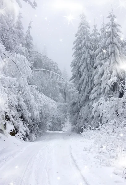 Vánoční pozadí s zasněžené silnici v lese — Stock fotografie