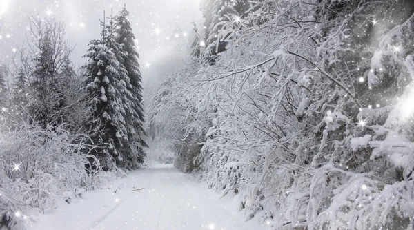 Χριστούγεννα φόντο με χιονισμένο δρόμο στο δάσος — Φωτογραφία Αρχείου