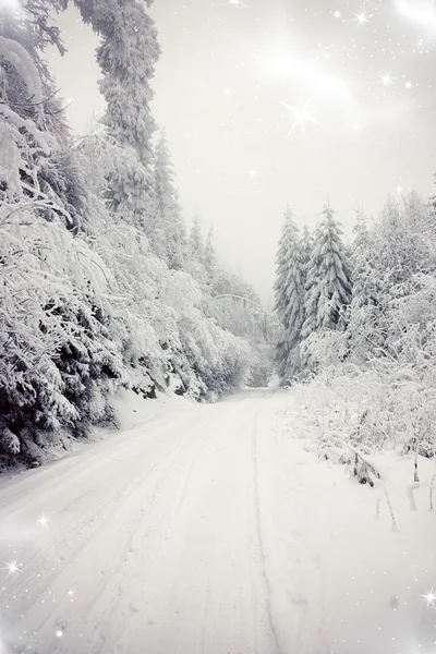 Fondo navideño con carretera nevada en el bosque — Foto de Stock