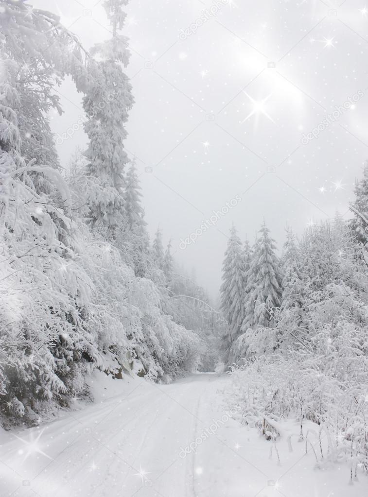 Christmas background with snowy road in the forest