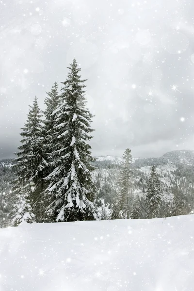 Karlı köknar ağaçları ile Noel arkaplanı — Stok fotoğraf