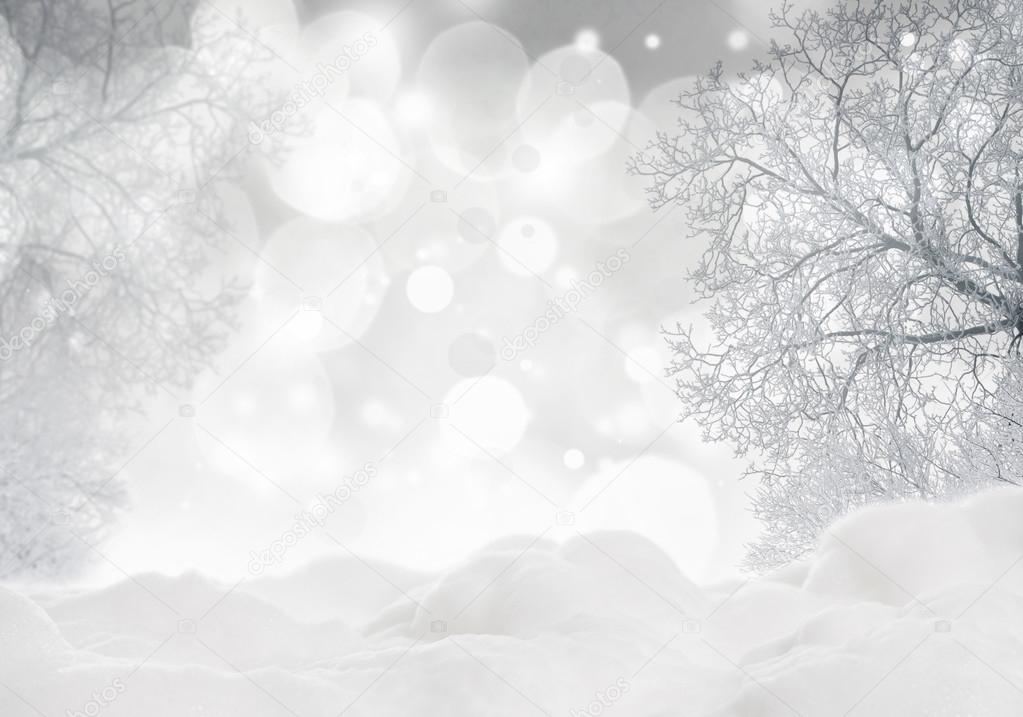 Christmas background with snowy trees