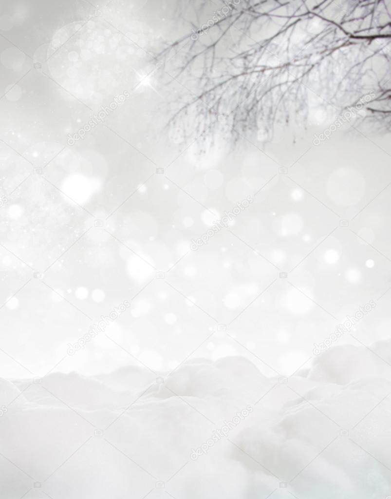 Christmas background with snowy trees