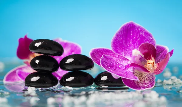 Květy orchidejí a zen stones — Stock fotografie