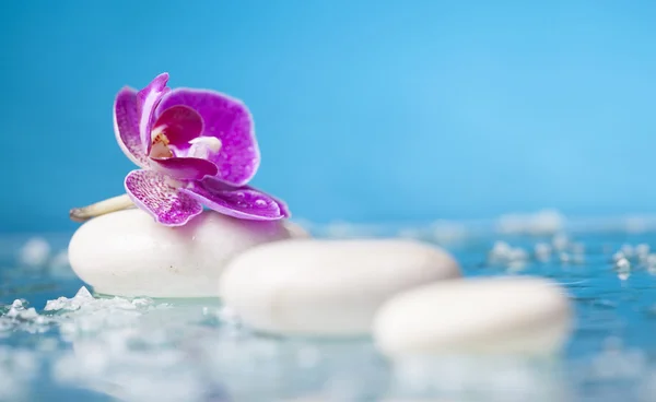 Flor de orquídea y piedras zen — Foto de Stock