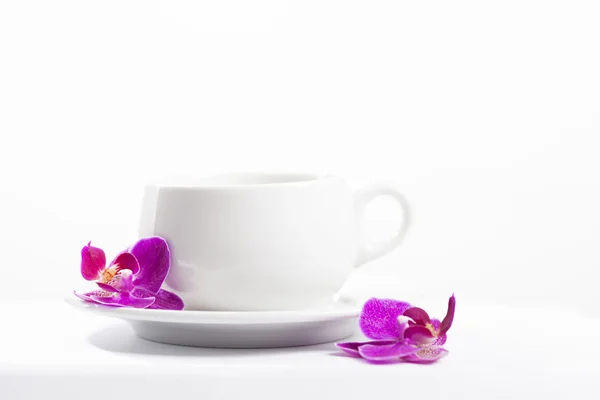 Tasse und rosa Orchideenblüten — Stockfoto