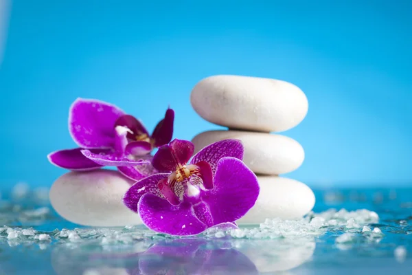 Flowers on white zen stones — Stock Photo, Image