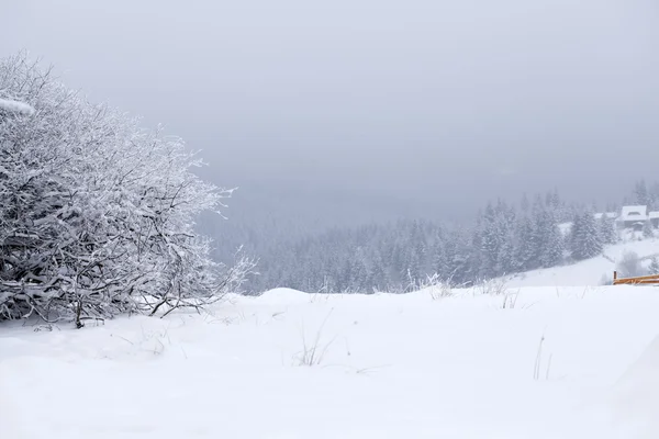 Fantastic winter landscape — Stock Photo, Image