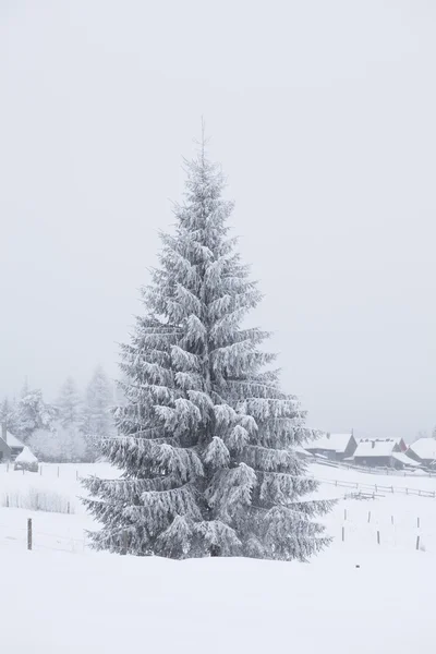 Fantastic winter landscape — Stock Photo, Image