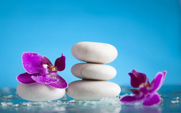 Spa ainda vida com orquídea rosa e pedra zen branca — Fotografia de Stock