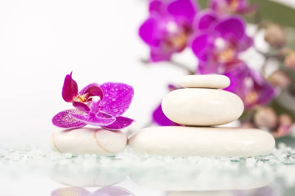 Csendélet a rózsaszín orchidea és fehér zen kő — Stock Fotó